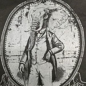 Meet your Posher, Dusty